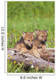 Wolf Cubs On Log Wall Mural