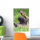 Porcupine Baby Eating Flower Wall Mural