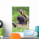Porcupine Baby Eating Flower Wall Mural