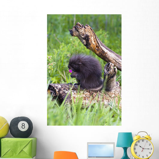 Porcupine Baby Eating Flower Wall Mural