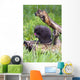 Porcupine Baby Eating Flower Wall Mural