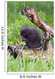 Porcupine Baby Eating Flower Wall Mural