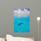 Atlantic Spotted Dolphins Wall Mural