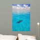Atlantic Spotted Dolphins Wall Mural