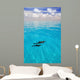 Atlantic Spotted Dolphins Wall Mural