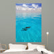 Atlantic Spotted Dolphins Wall Mural