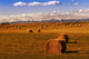 Hay Bales Wall Mural