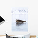 Seal Resting Wall Decal