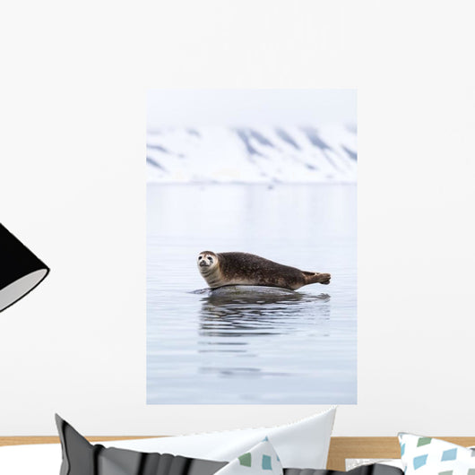 Seal Resting Wall Decal