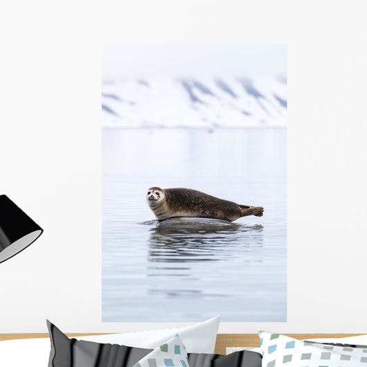 Seal Resting Wall Decal