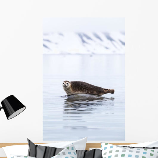 Seal Resting Wall Decal