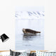 Seal Resting Wall Decal