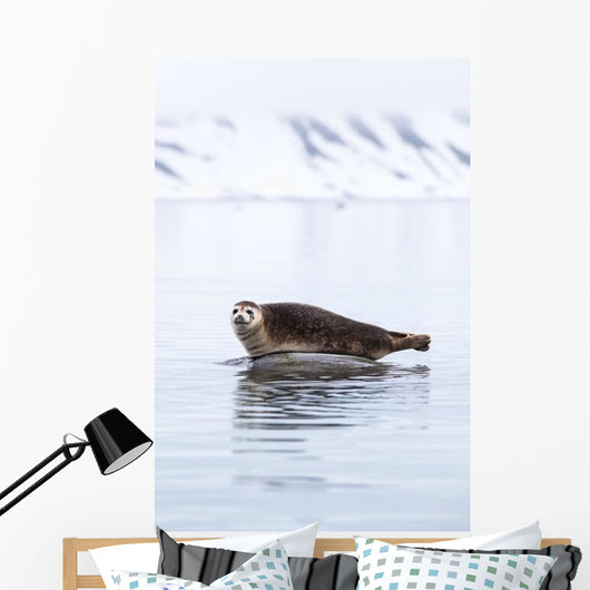 Seal Resting Wall Decal