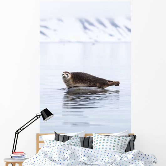 Seal Resting Wall Decal