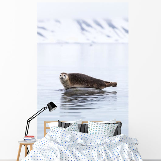 Seal Resting Wall Decal