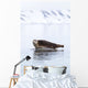 Seal Resting Wall Decal
