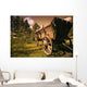 Old Wagon Wall Mural