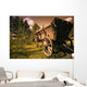 Old Wagon Wall Mural