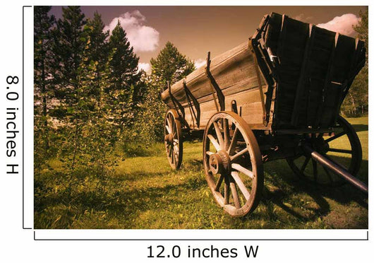 Old Wagon Wall Mural