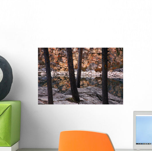Horseshoe Lake, Jasper National Park, Alberta, Canada Wall Mural