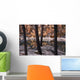 Horseshoe Lake, Jasper National Park, Alberta, Canada Wall Mural