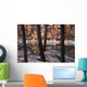 Horseshoe Lake, Jasper National Park, Alberta, Canada Wall Mural