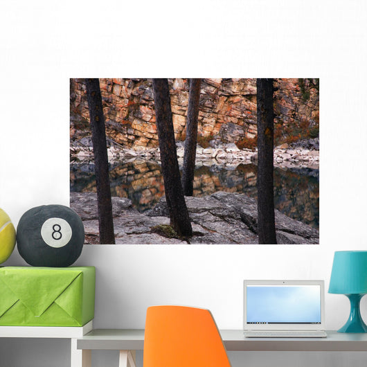 Horseshoe Lake, Jasper National Park, Alberta, Canada Wall Mural