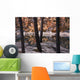Horseshoe Lake, Jasper National Park, Alberta, Canada Wall Mural