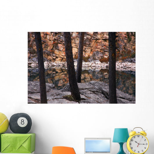 Horseshoe Lake, Jasper National Park, Alberta, Canada Wall Mural