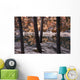 Horseshoe Lake, Jasper National Park, Alberta, Canada Wall Mural