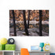 Horseshoe Lake, Jasper National Park, Alberta, Canada Wall Mural