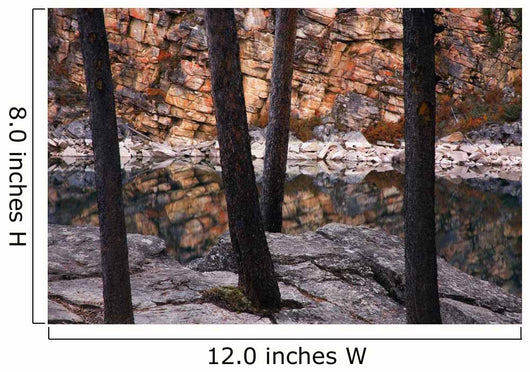 Horseshoe Lake, Jasper National Park, Alberta, Canada Wall Mural
