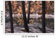 Horseshoe Lake, Jasper National Park, Alberta, Canada Wall Mural