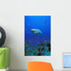 Caribbean Reef Shark Wall Mural