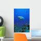 Caribbean Reef Shark Wall Mural