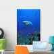Caribbean Reef Shark Wall Mural