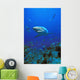 Caribbean Reef Shark Wall Mural