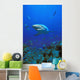 Caribbean Reef Shark Wall Mural
