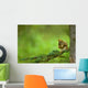 Red Squirrel On A Tree Branch Wall Mural