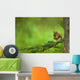 Red Squirrel On A Tree Branch Wall Mural