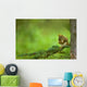 Red Squirrel On A Tree Branch Wall Mural