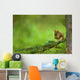 Red Squirrel On A Tree Branch Wall Mural