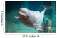 Beluga whale Wall Mural