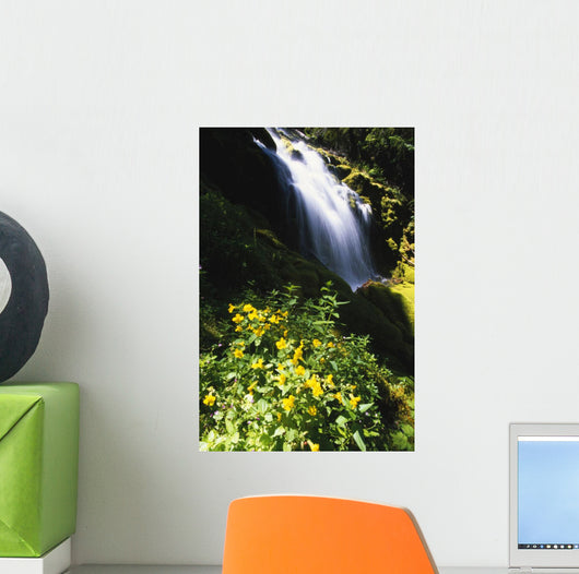 Proxy Falls Wall Mural