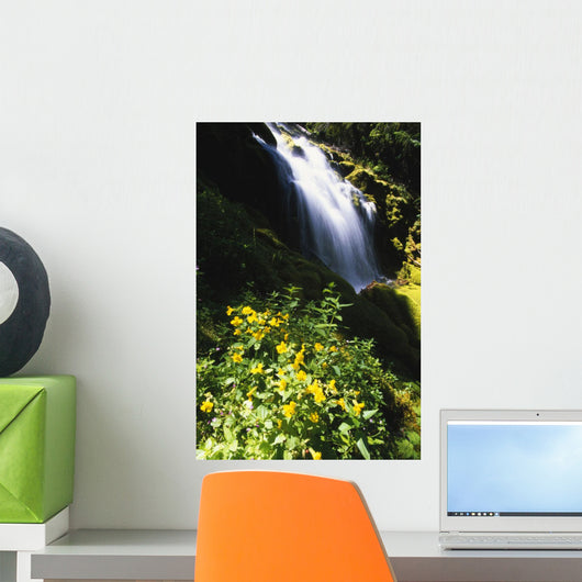 Proxy Falls Wall Mural