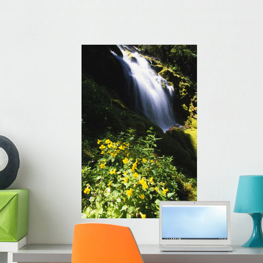 Proxy Falls Wall Mural