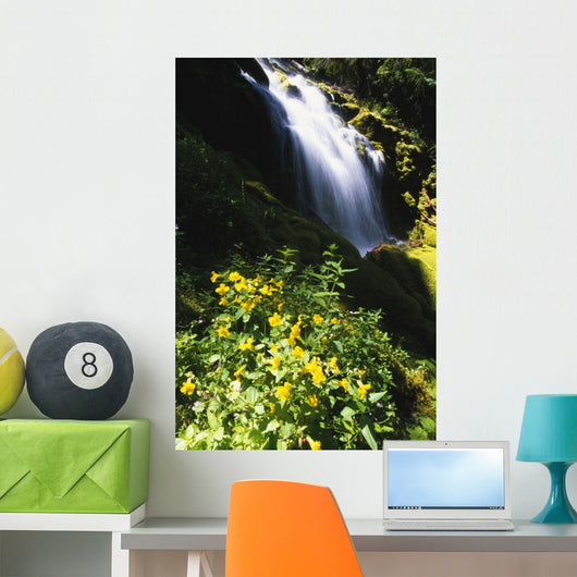 Proxy Falls Wall Mural