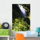 Proxy Falls Wall Mural