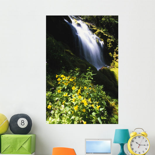 Proxy Falls Wall Mural