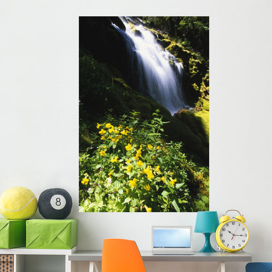 Proxy Falls Wall Mural